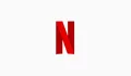 Netflix 29 Days Subscription